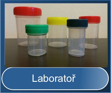 Laboratorní spotřební materiál 